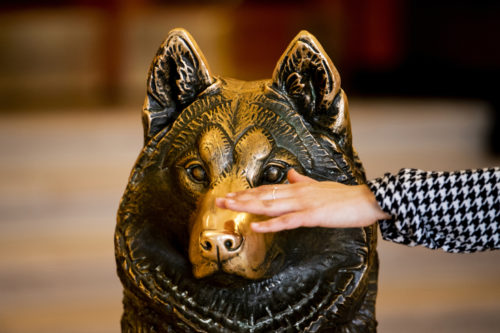 A hand rubs the nose of the Husky statue.