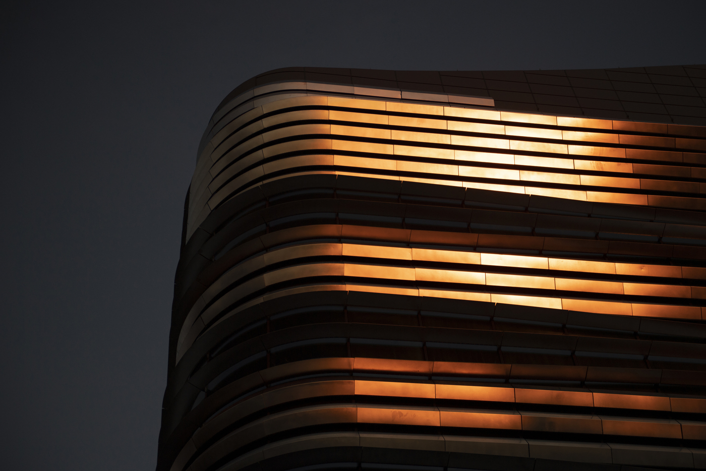 EXP light - Northeastern Global News