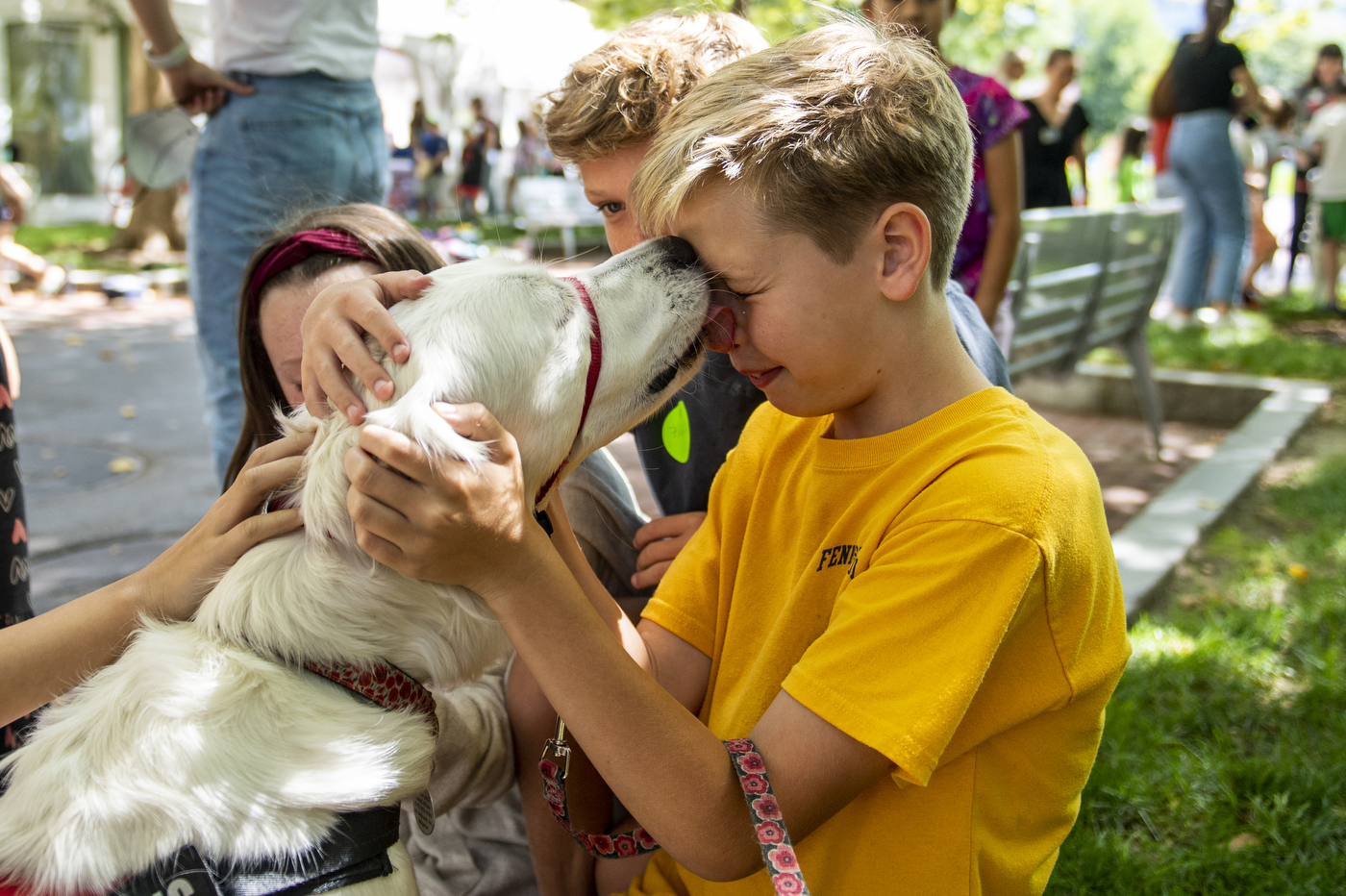Friendly dog licking a child's face