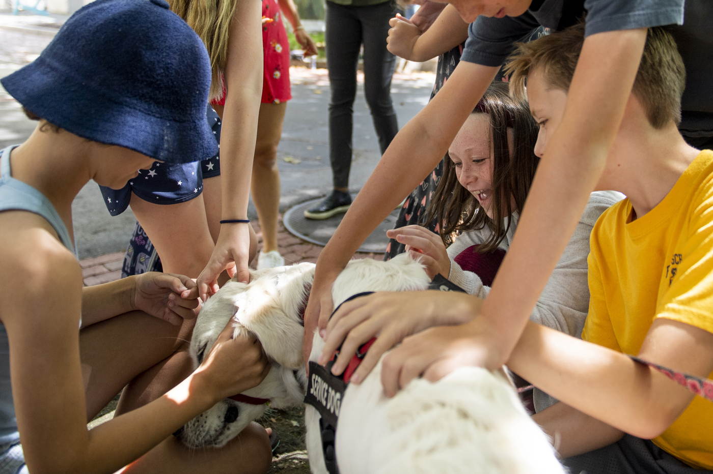 Children excitedly petting a service dog