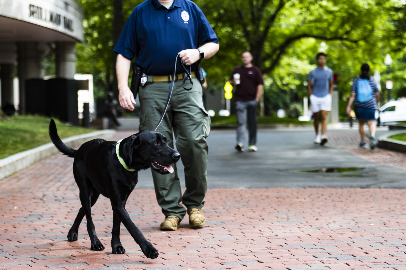 Sarge, a 1-year old black lab and the newest member of Northeastern's pack, explores the Boston campus with his handler NUPD Officer Sgt. Joe Corbett.