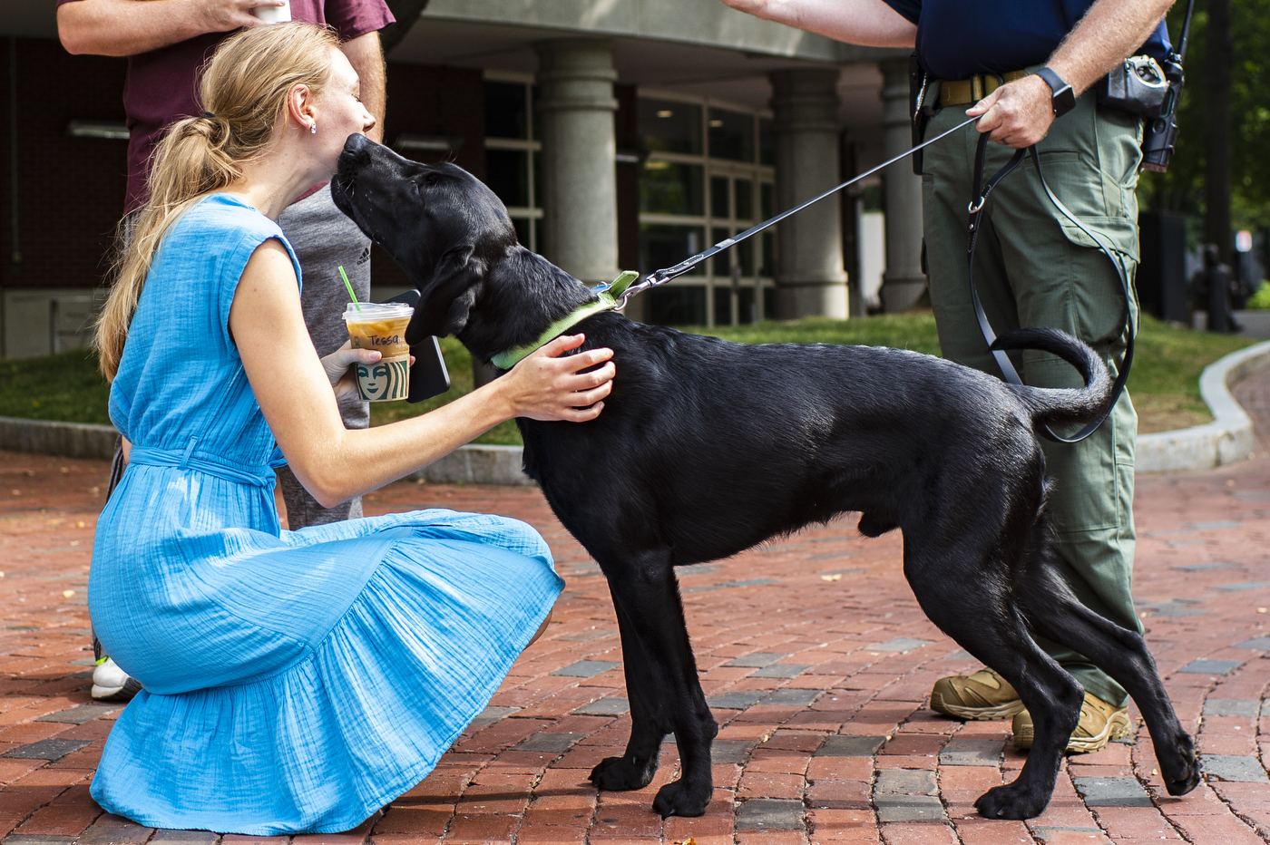 Sarge, a 1-year old black lab and the newest member of Northeastern's pack, greets physicians assistant student Tessa Lilley in Centennial Common.