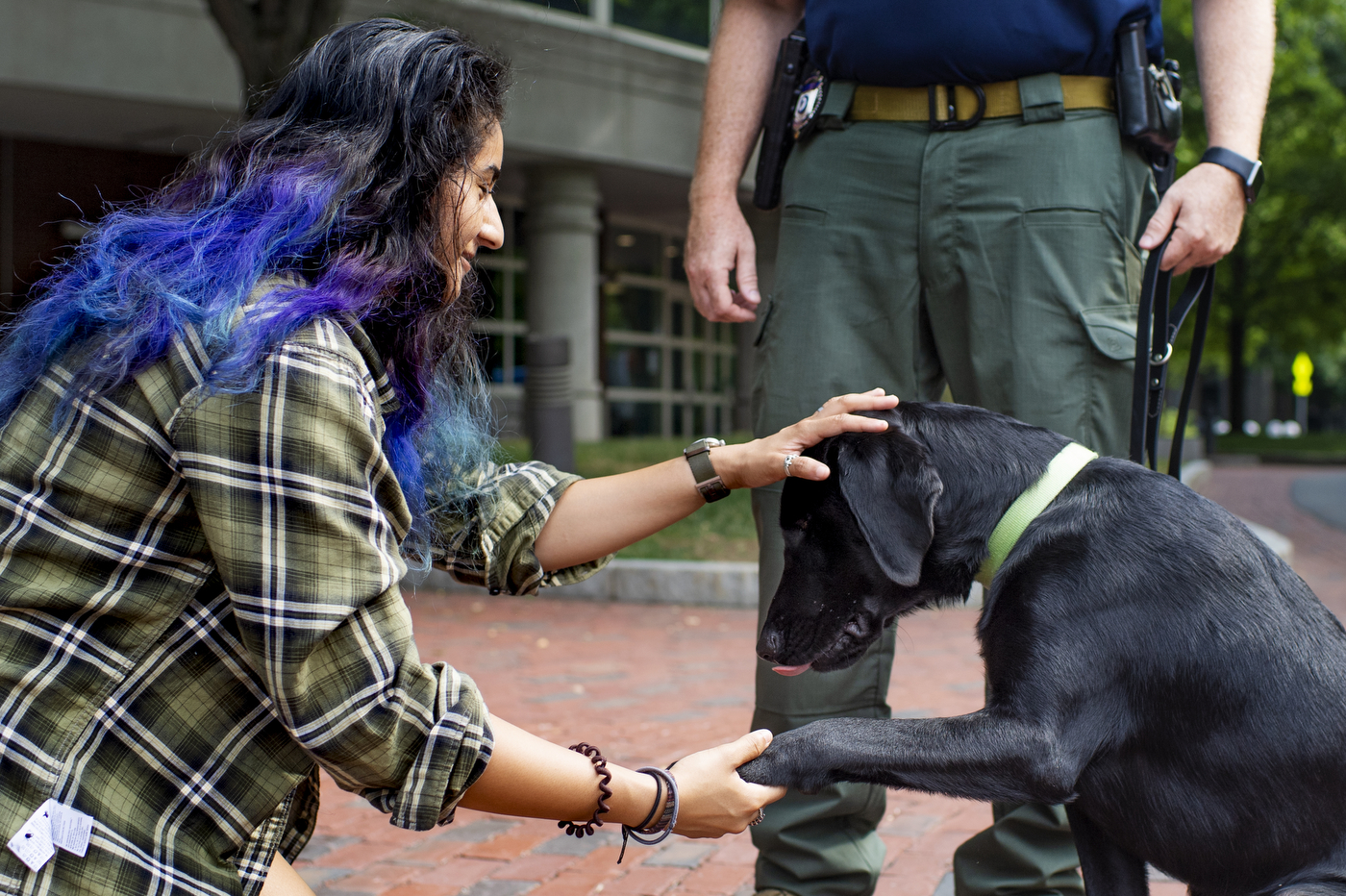 Sarge, a 1-year old black lab and the newest member of Northeastern's pack, shakes hands with mechanical engineering student Shreya Mathawan in Centennial Common while on a walk with NUPD Officer Sgt. Joe Corbett.