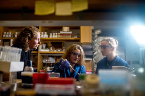 Heather Clark, who will direct the Systems Bioanalysis and Chemical Imaging Institute, works with students Sarah Beatty and Nicole Langlois in 140 The Fenway on Oct. 1, 2018. Photo by Matthew Modoono/Northeastern University