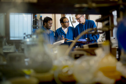Associate Professor Ganesh Thakur conducts research with Sumanta Garai, left, and Peter Schaffer in 140 The Fenway Center on Oct. 2, 2018. Thakur is developing pain medications that are safe and effective alternatives to opioids. These potential medications are a new class of compounds, harnessing cannabis-like effects without the cognitive or mood changes of marijuana. Photo by Matthew Modoono/Northeastern University