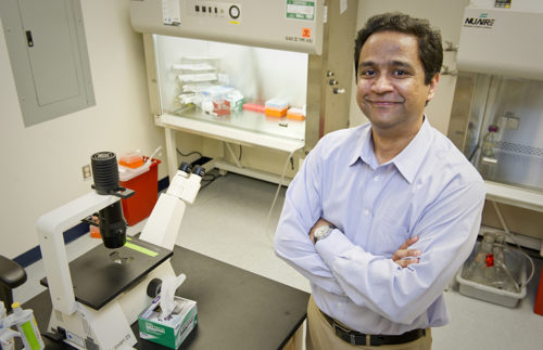 March 13, 2012 - Anand Asthagiri, associate professor of chemical engineering, has developed a method for driving cells from point a to point b with more precision than previously available.  “We are excited by this because it opens two very interesting avenues of opportunity,