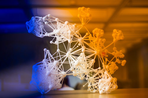 This is what a 3D-printed network looks like. Photo by Adam Glanzman/Northeastern University