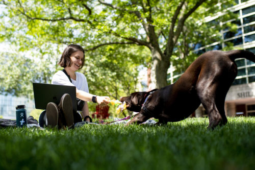 Catherine Titcomb, who studies business administration and design, takes a break from work with Jackie, a six-month-old lab mix, on Centennial Common. Photo by Ruby Wallau/Northeastern University