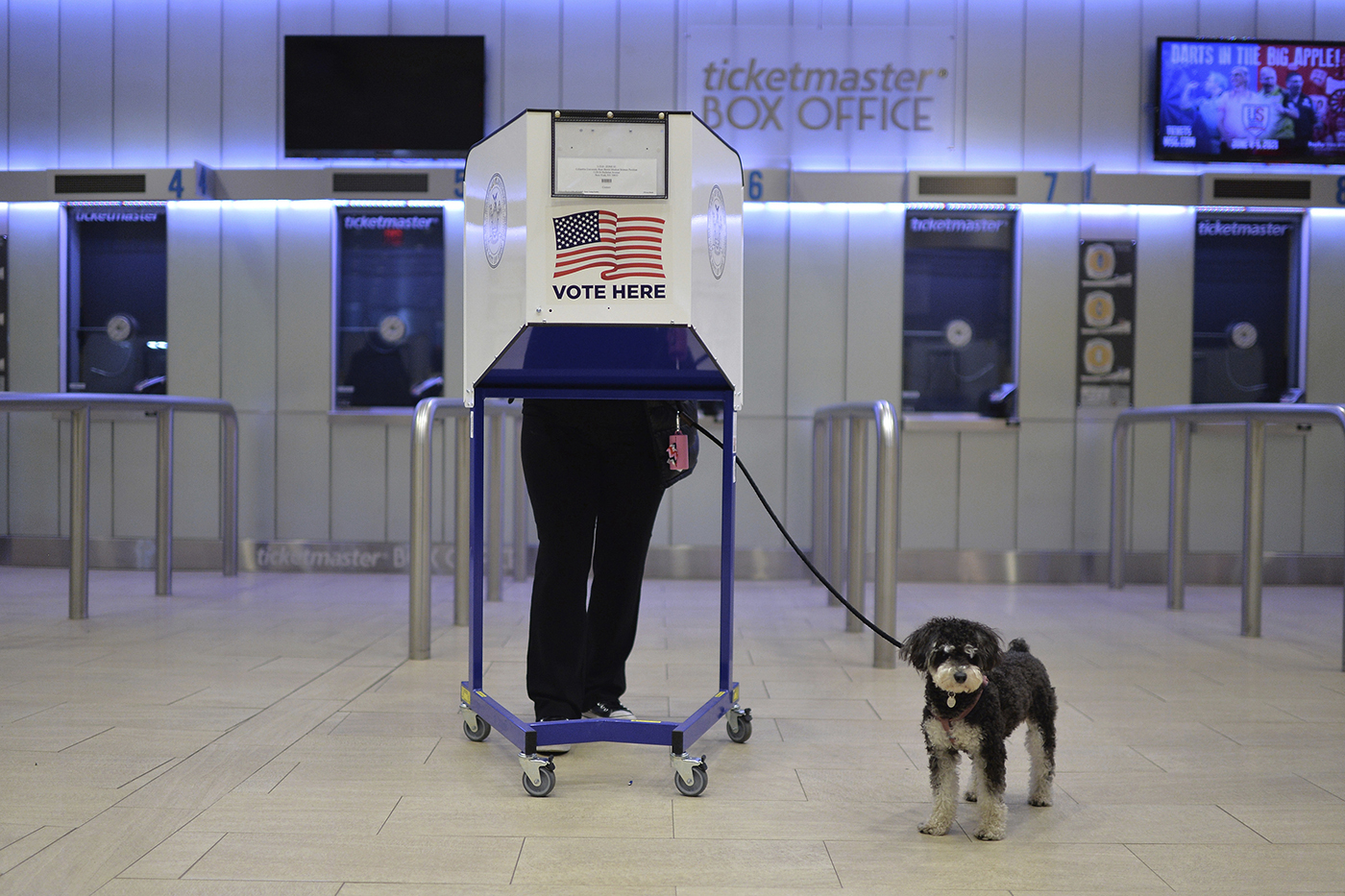 person standing in voting privacy booth with dog on leash