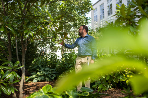 One of Stephen Schneider's priorities as the new arborist is improving record-keeping of plant collections to benefit researchers decades from now. Photo by Alyssa Stone/Northeastern University