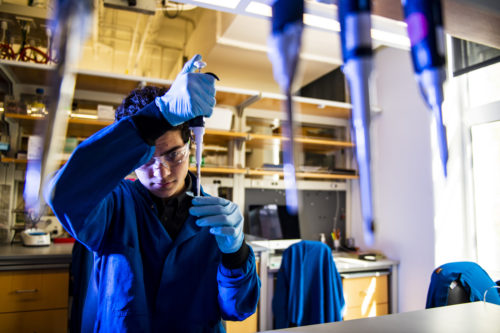 Northeastern biology major Dillon Nishigaya, conducts cancer research in a Mugar lab. Nishigaya was inspired to student science after overcoming scoliosis.