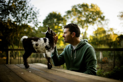 10/03/17 - BOSTON, MA. - Ted Moss, associate teaching professor of English, runs, Meadow Farm, as a hobby, at his home in Hingham, MA. Moss has a fruit and veggie orchard, and many animals - including chickens, geese, ducks, beehives, cat, and dogs. Photo by Matthew Modoono/Northeastern University