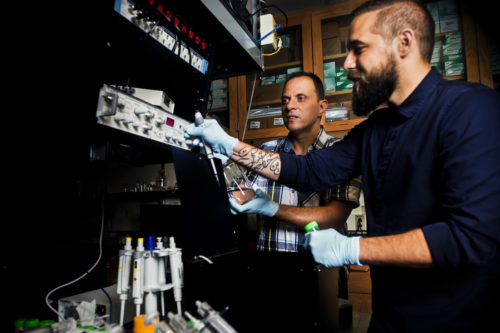 Meni Wanunu, associate professor of physics, and his post doctoral student Robert Henley are using carbon nanotubes as a filter to desalinate water. Their new paper shows the method works better than any other existing process. Photo by Adam Glanzman/Northeastern University