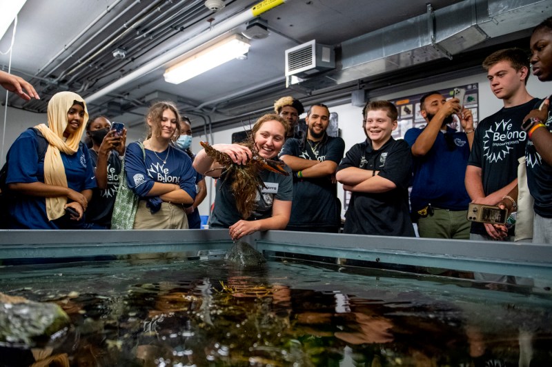 student holding a lobster up out of a touch tank