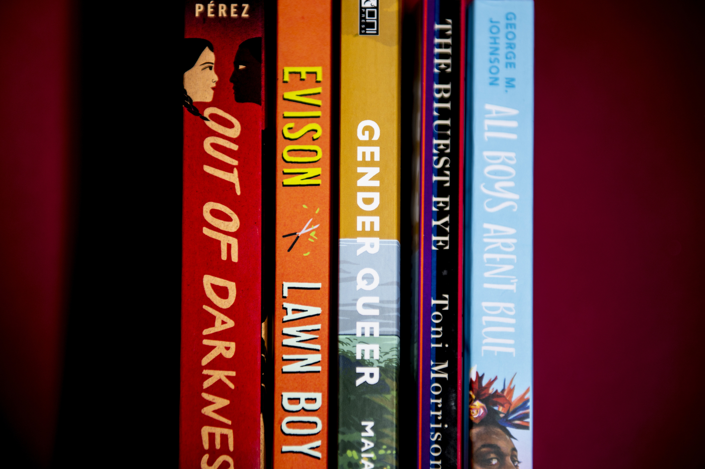 A row of five books, all with multi-colored spins, are placed in front of a red-colored wall.