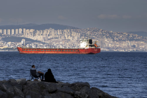 A family sits on a rock in front of a cargo ship anchored in the Marmara Sea awaiting approval to cross the Bosphorus Strait in Istanbul, Turkey, on July 13, 2022. AP Photo/Khalil Hamra