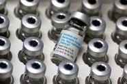 Will The Smallpox Vaccine Protect Against Monkeypox 