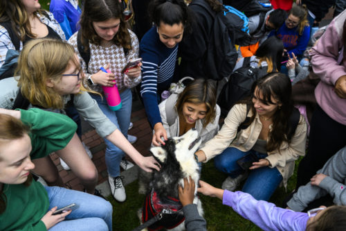 King Husky is surrounded by pets as he visits Northeastern students on Centennial Common in Boston. Photo by Alyssa Stone/Northeastern University