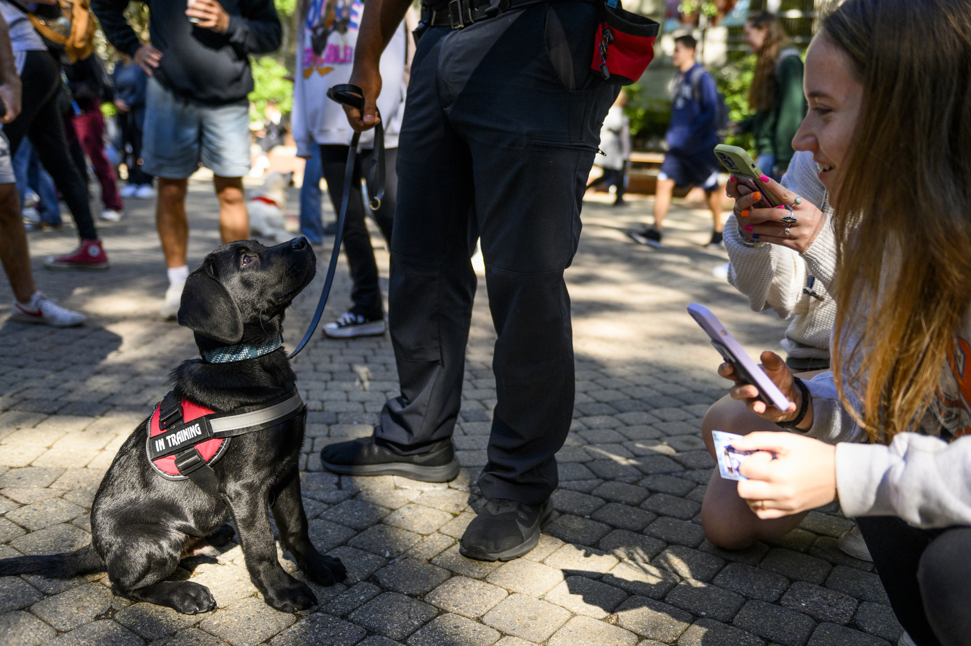 A person is holding the leash to a black service dog at Northeastern.