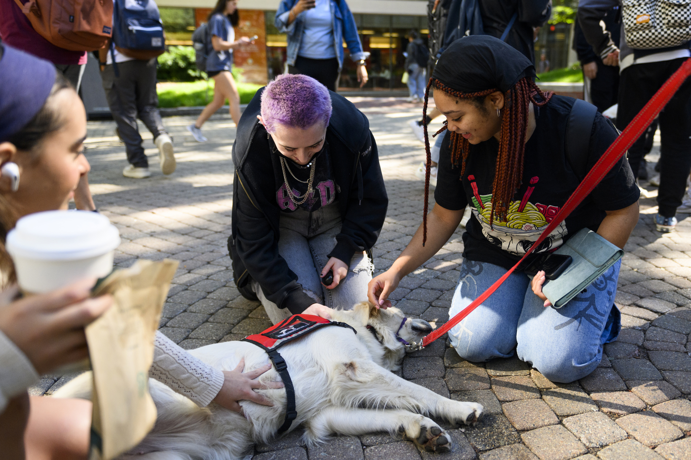 A group of people are petting service dogs at Northeastern.