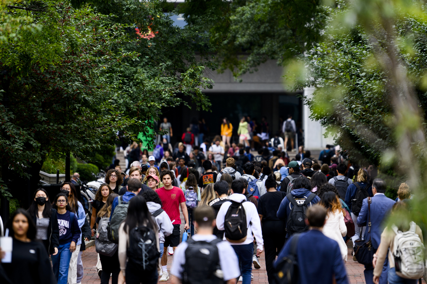 A sea of students Northeastern Global News