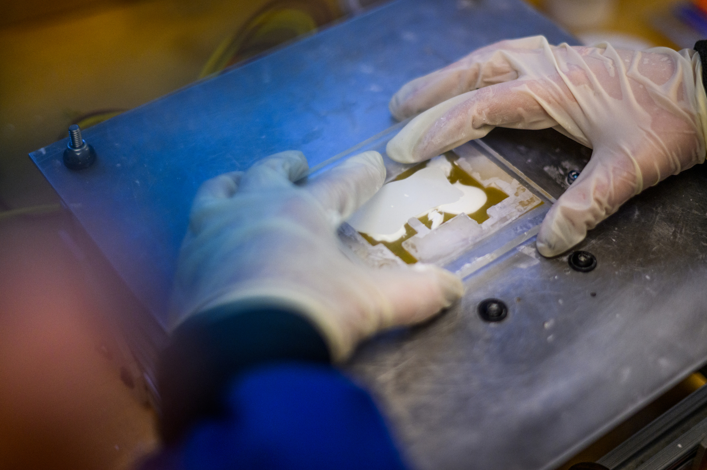 Two gloved hands work with small piece of white ceramic
