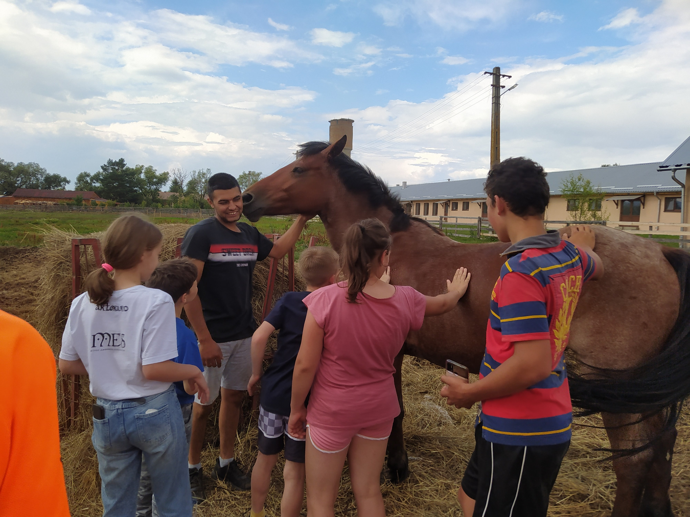 Children are petting a horse outside on a sunny day while camping in Transylvania. 