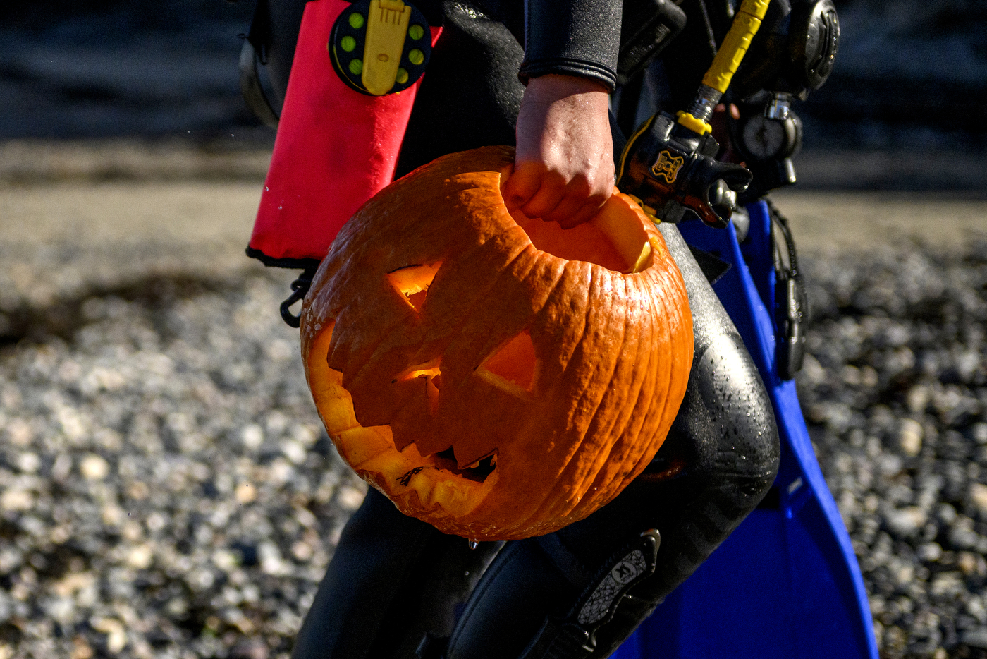scuba diver walking with jack-o-lantern in their hand
