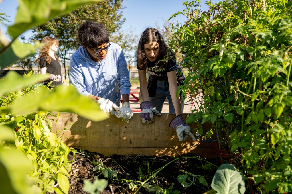 students working in a garden