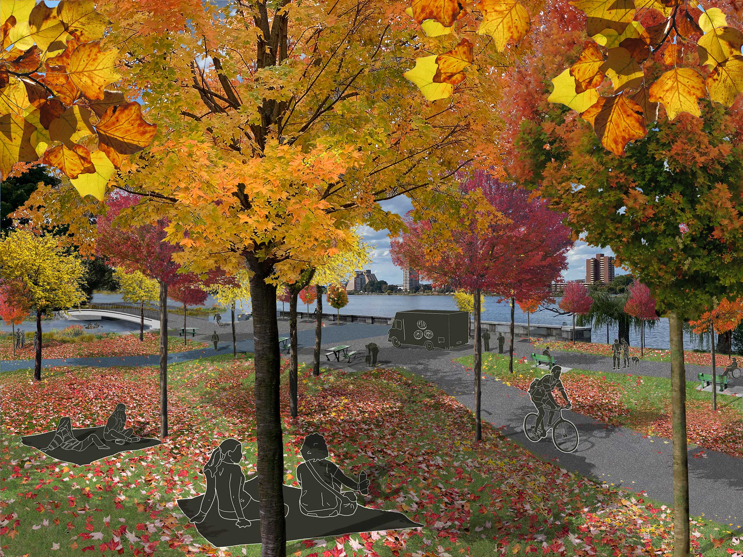 A graphic design of Charlesgate Park in Boston during the fall season covered in colorful leaves.