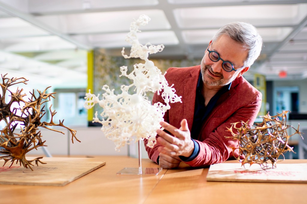 Albert-László Barabási looks at 3D network models laid out on a desk