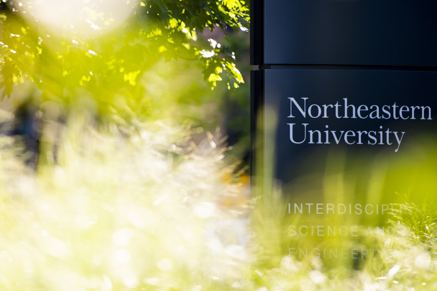 northeastern university campus sign
