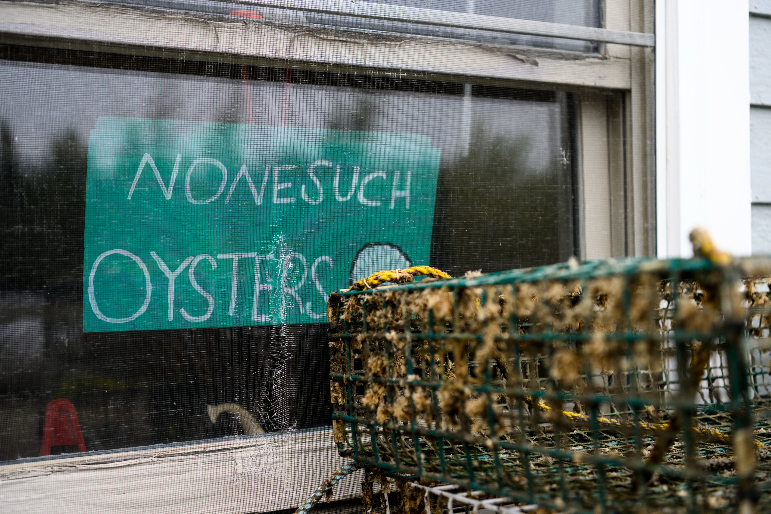 A hand-drawn Nonesuch Oysters sign in a window.