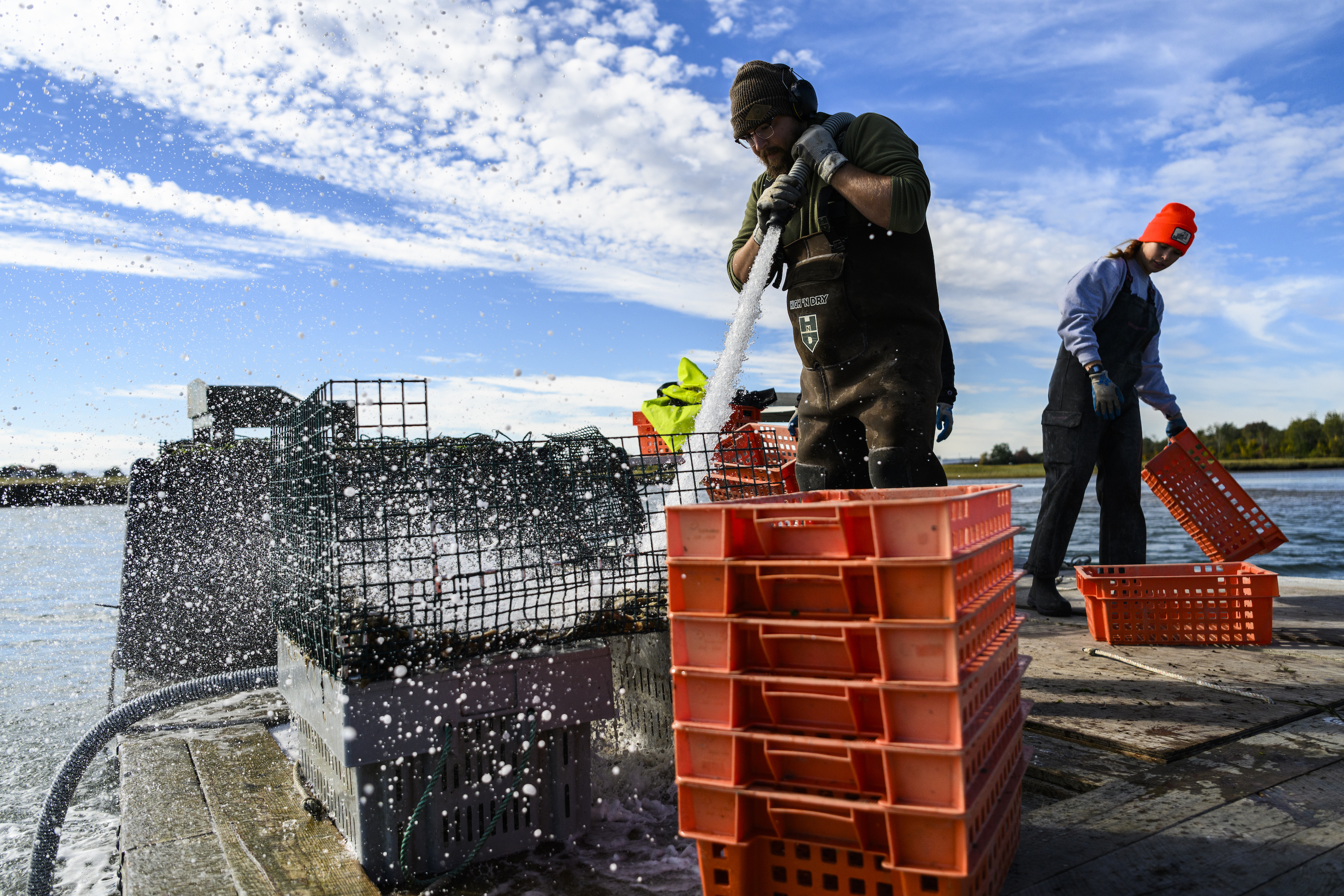 Students on the water harvesting oyster traps
