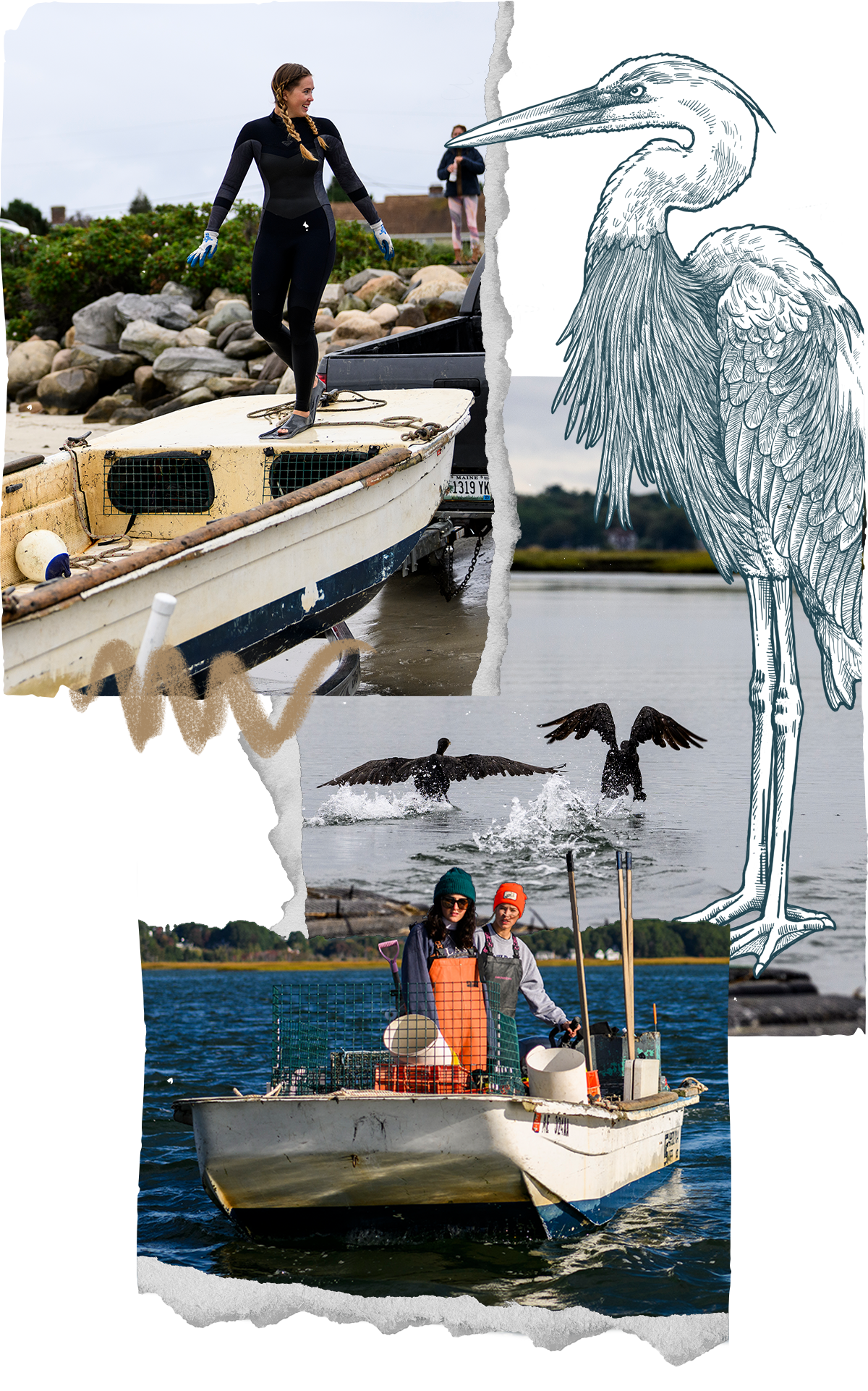 Collage of Nonesuch staff and co-op students in the skiff, herons skimming the water, and an illustration of a heron.
