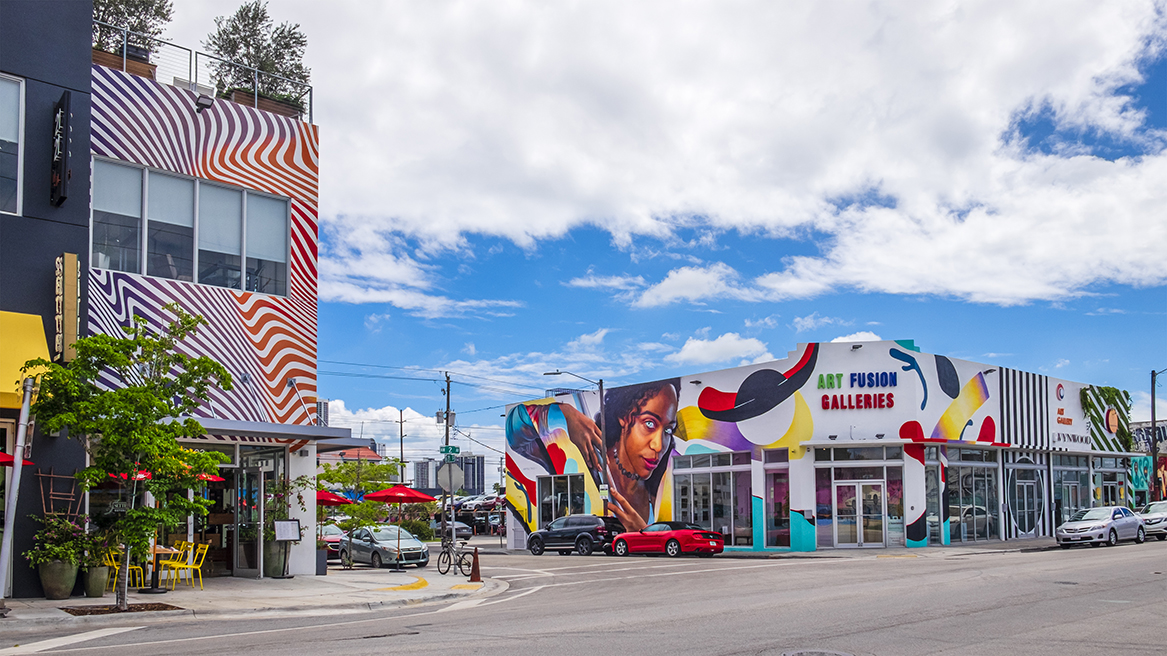 colorful buildings in wynwood district of miami