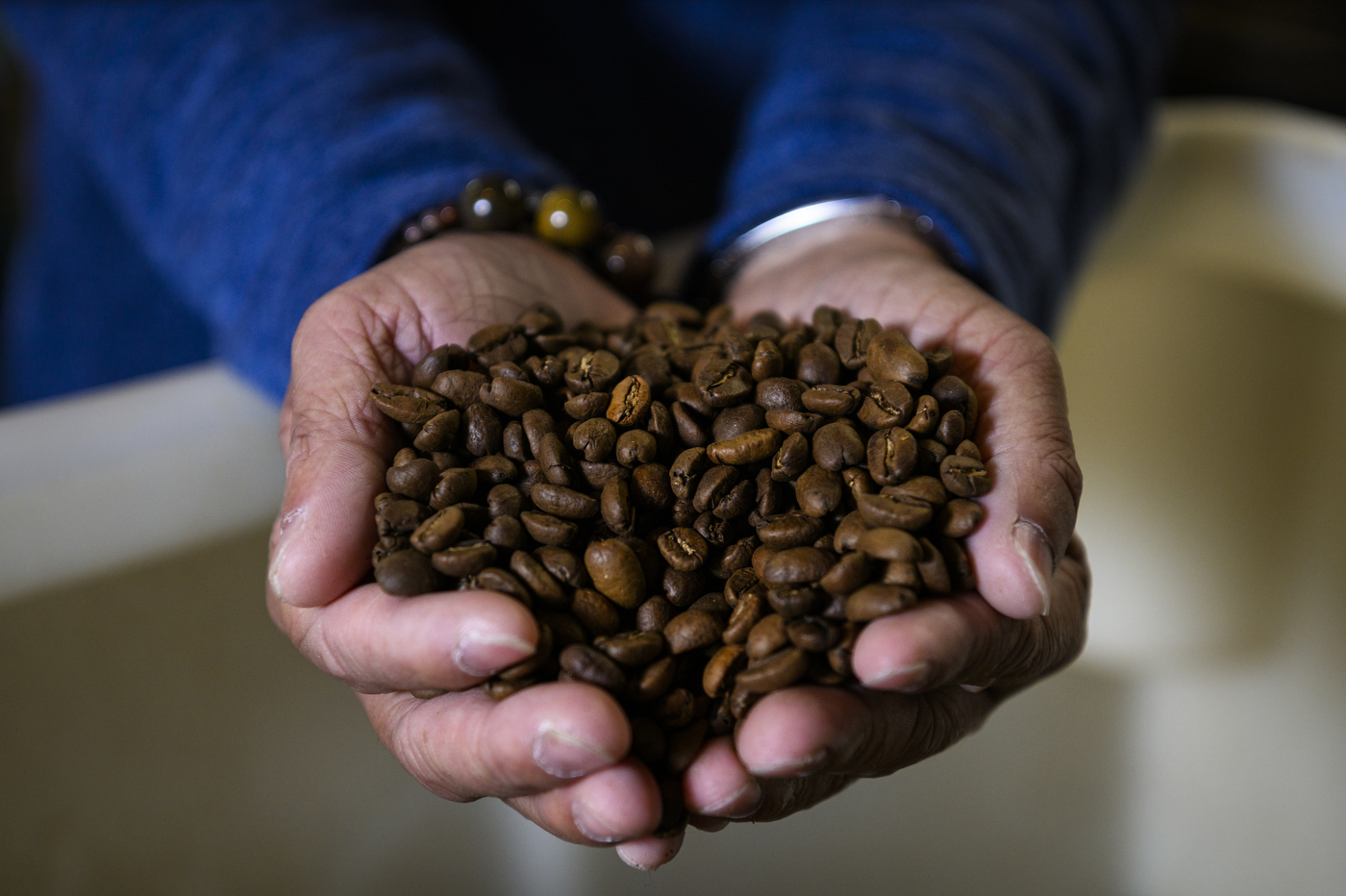Hands hold a small pile of roasted coffee beans. 