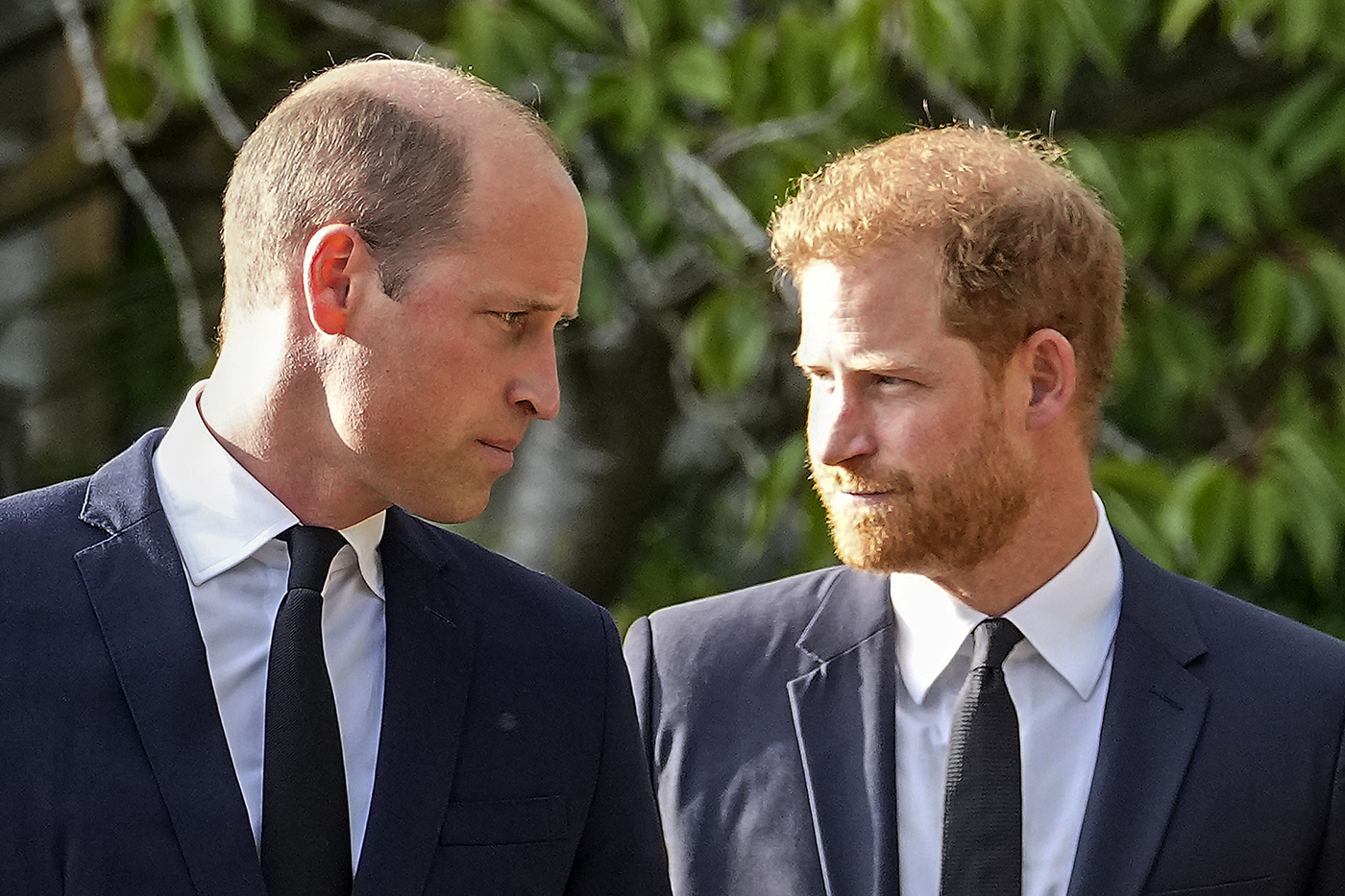 Harry and William looking at each other sternly