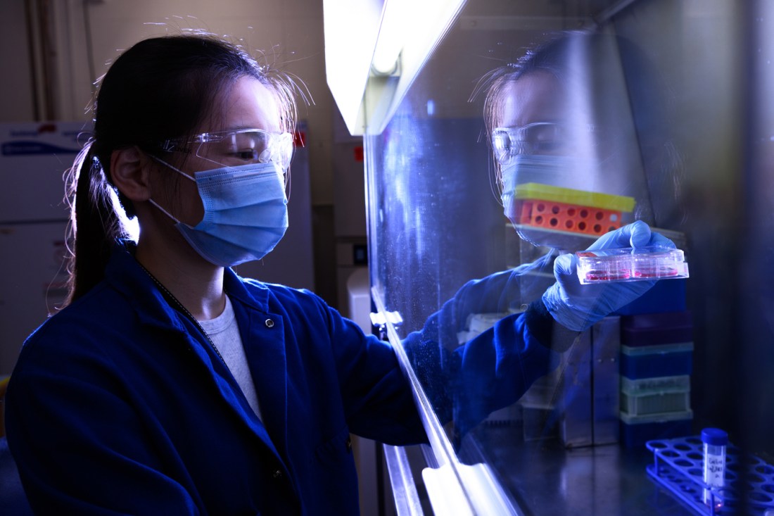 Masked scientist working in a lab on pancreatic cancer treatments