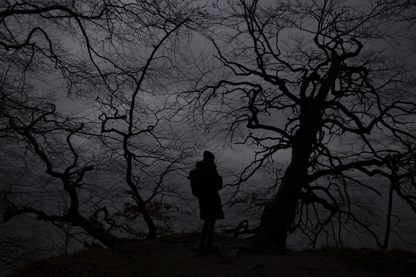 A person is seen in silhouette in front of dark clouds and trees with no leaves