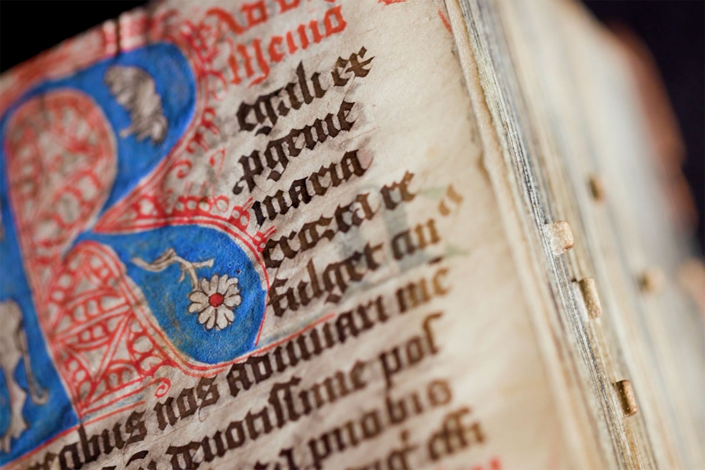 Dragon Prayer Book Narrative Northeastern Global News