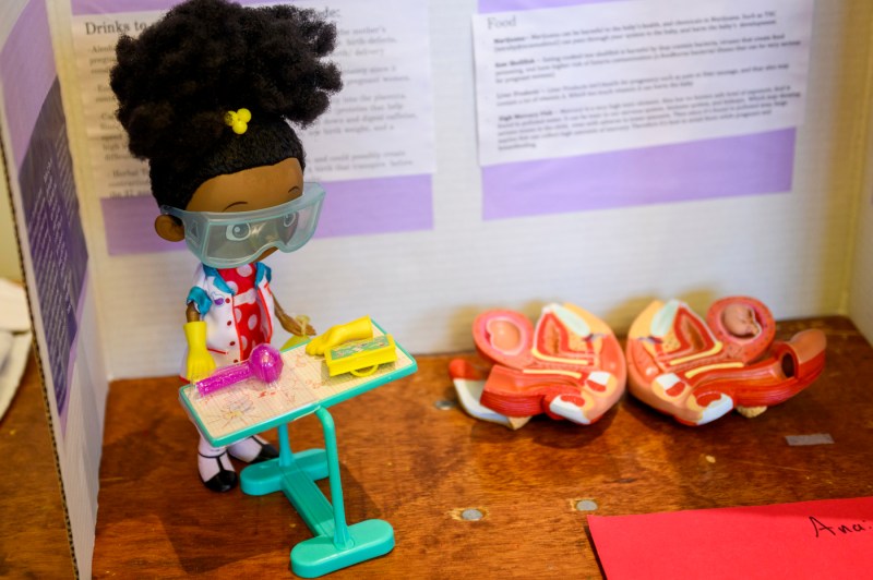 science fair project diorama with doll