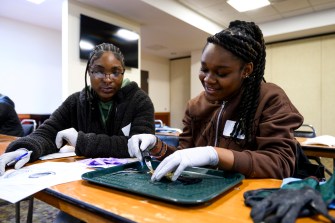 High school students dissecting marine life