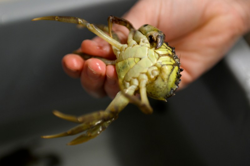 student holding crab in their hand