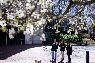 Students walk past magnolia blossoms.
