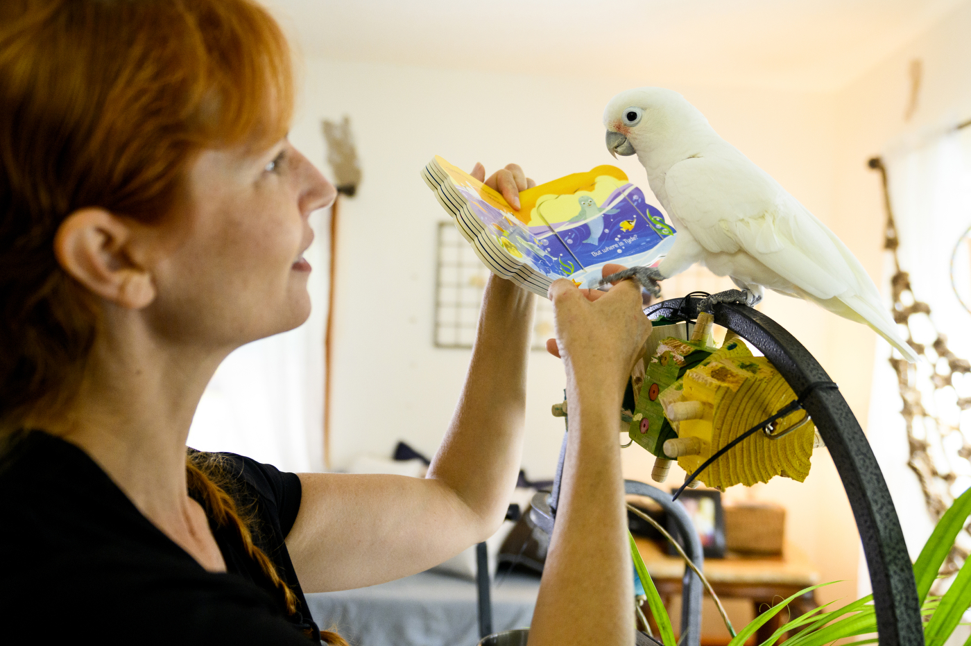 Jennifer Cunha interacting with a parrot