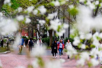 Framed by blooming flowers, students walk along a brick pathway.