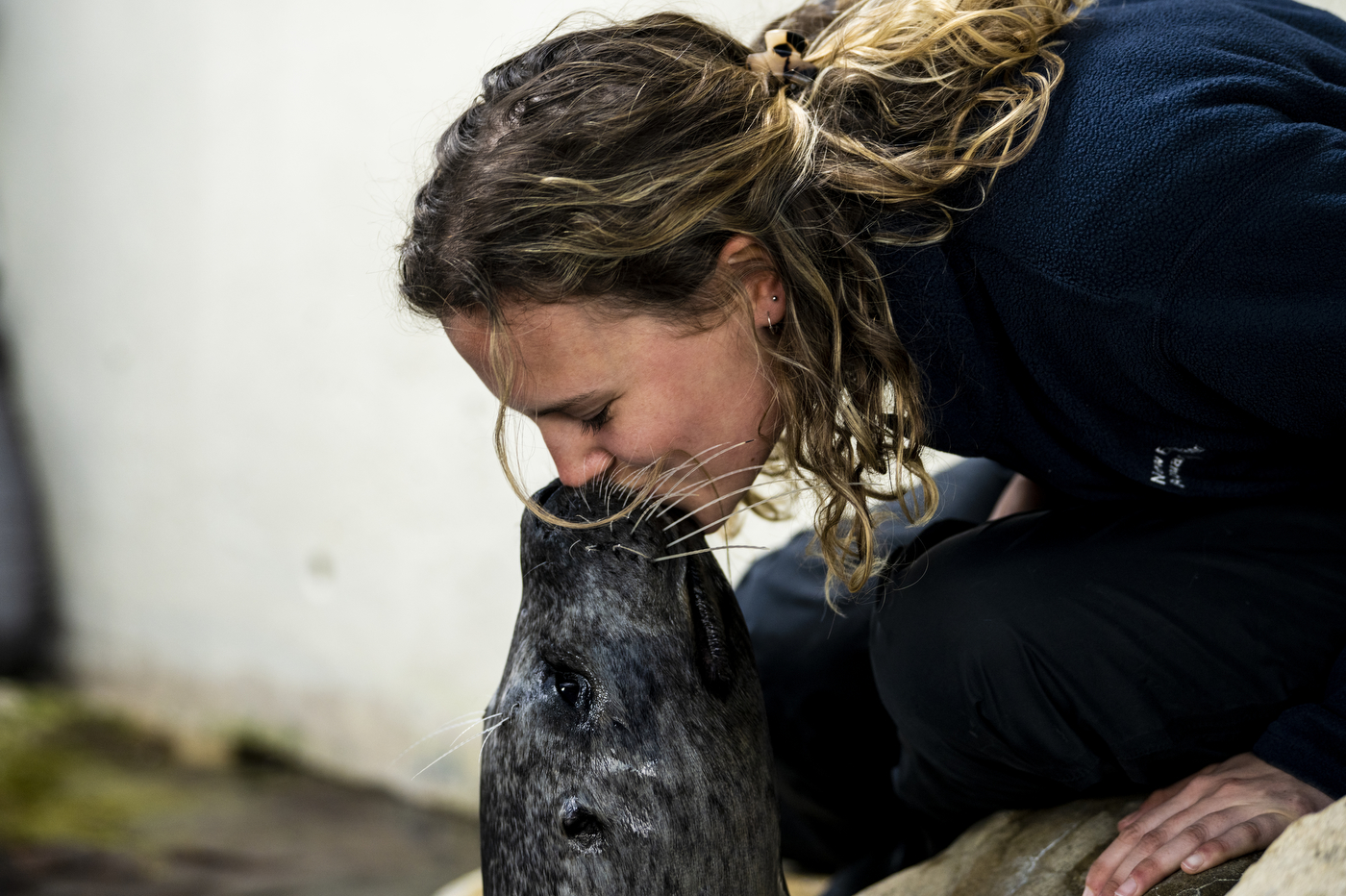 harbor seal giving Isabella Welch a kiss