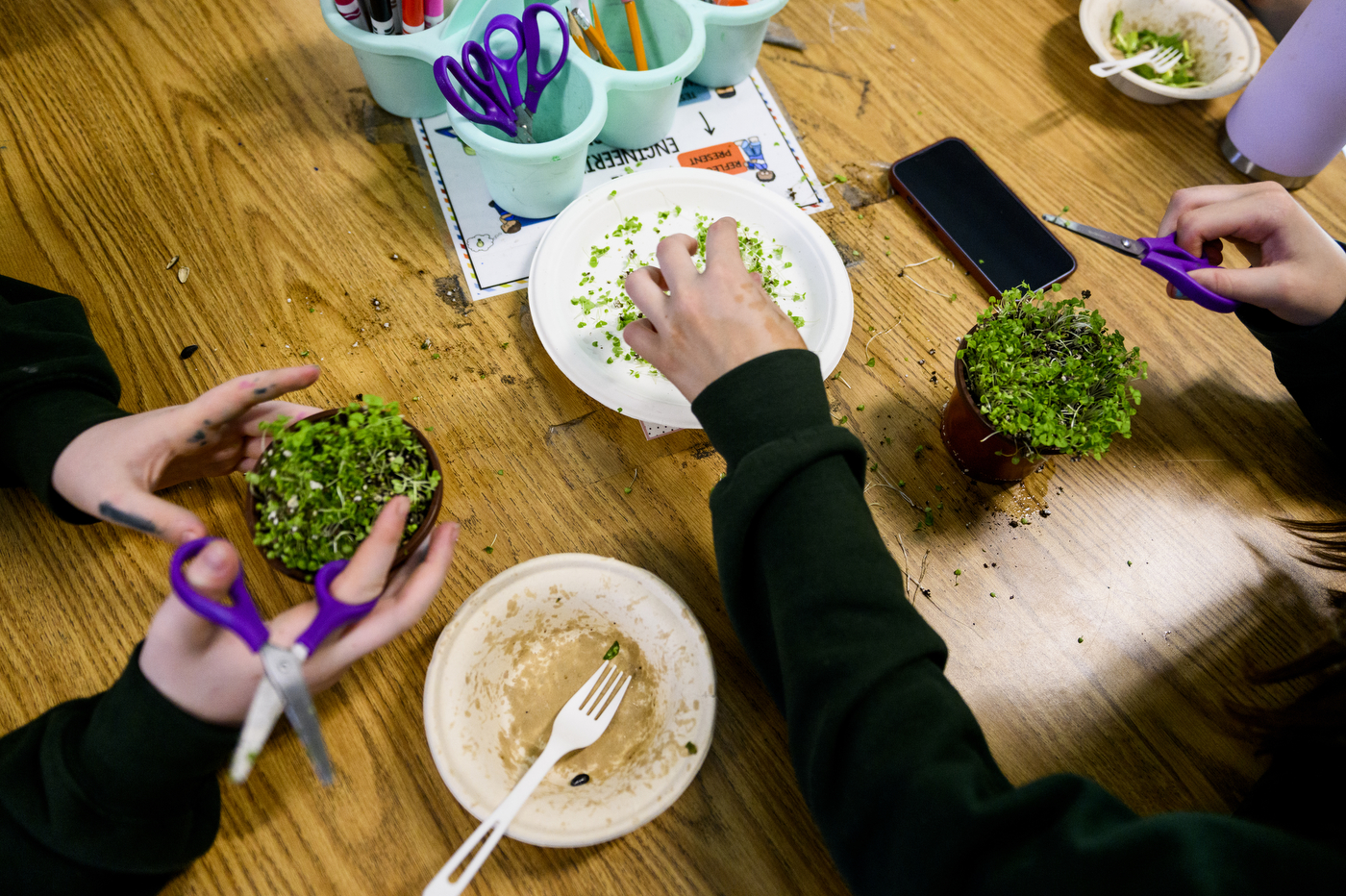 students working with microgreens