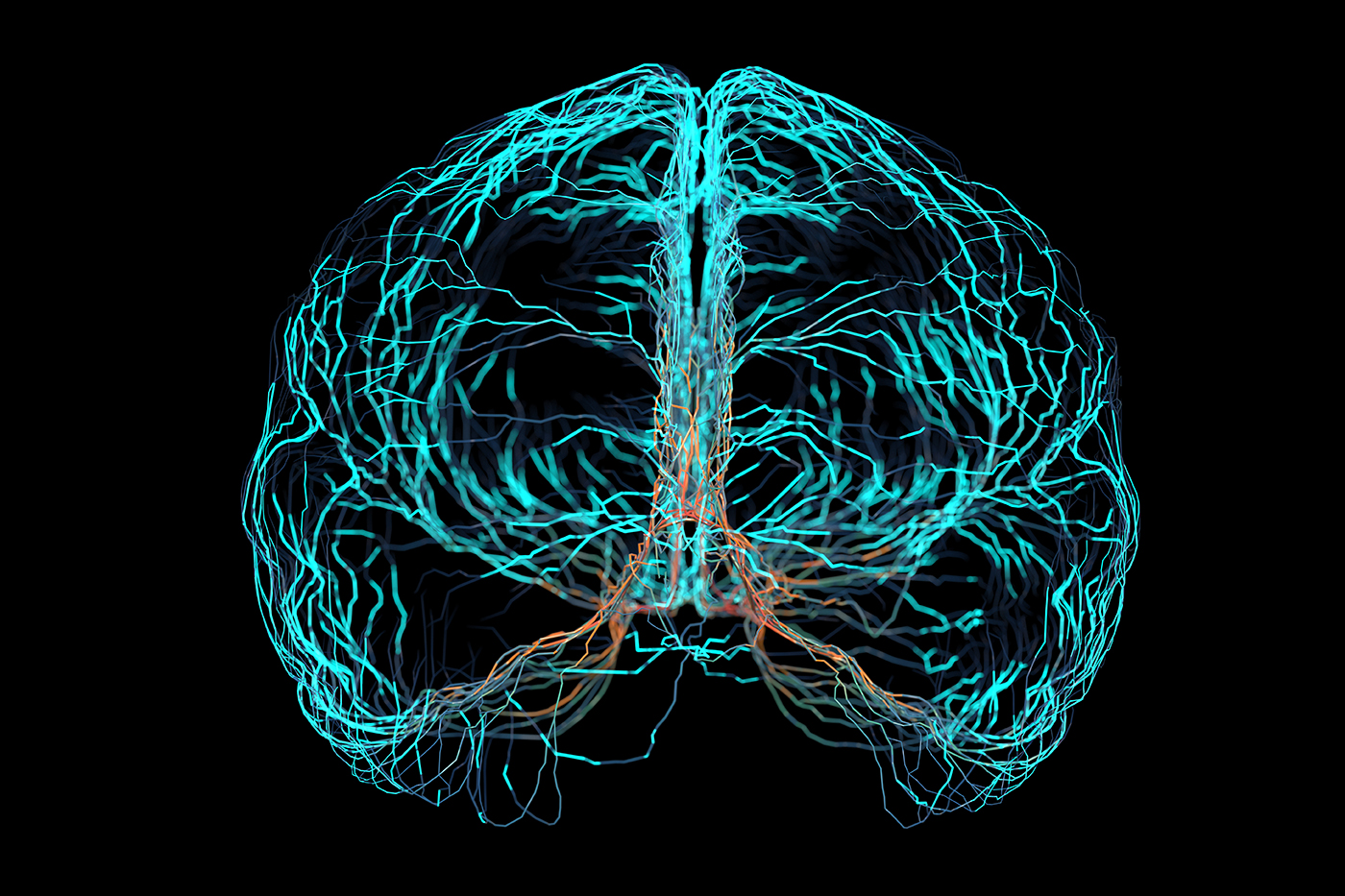 digital simulation of brain nerve electrical signals